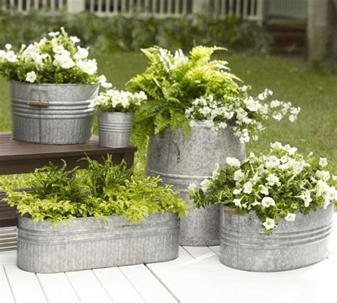 house plants in a metal bucket|metal containers for plants reviews.